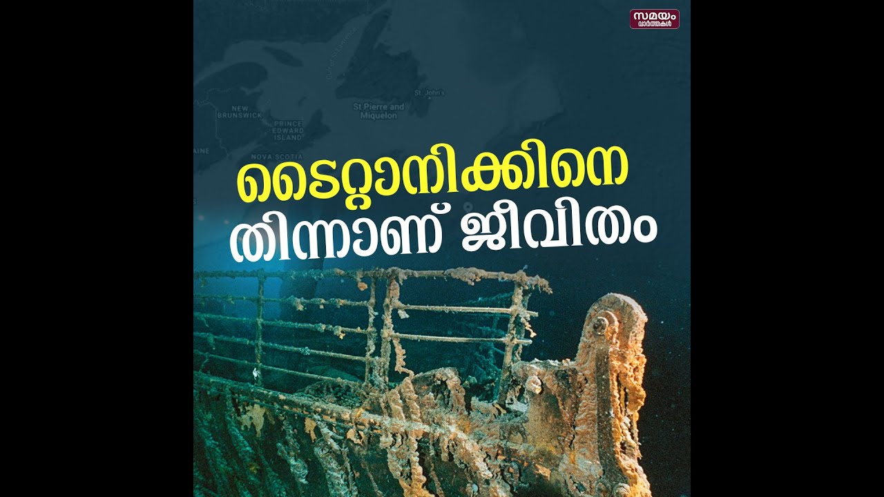 ടൈറ്റാനിക്കിനെ തിന്ന് ജീവിക്കുന്നു...| titanic | halomonas titanicae