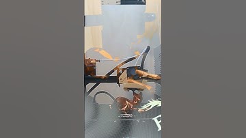 Low ploy Cat 3D timelapse