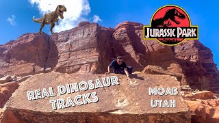 Finding REAL Dinosaur Tracks on a Trail in Moab - UTAH