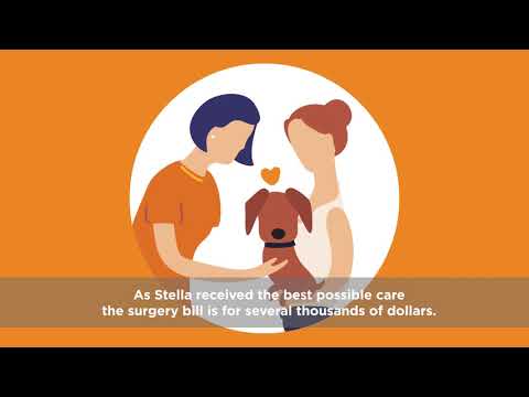 Introducing GapOnly. Pet Insurance Claims Reinvented (captioned)