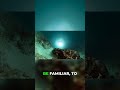 Why No Alien Ocean Hype? Truth is Stranger!