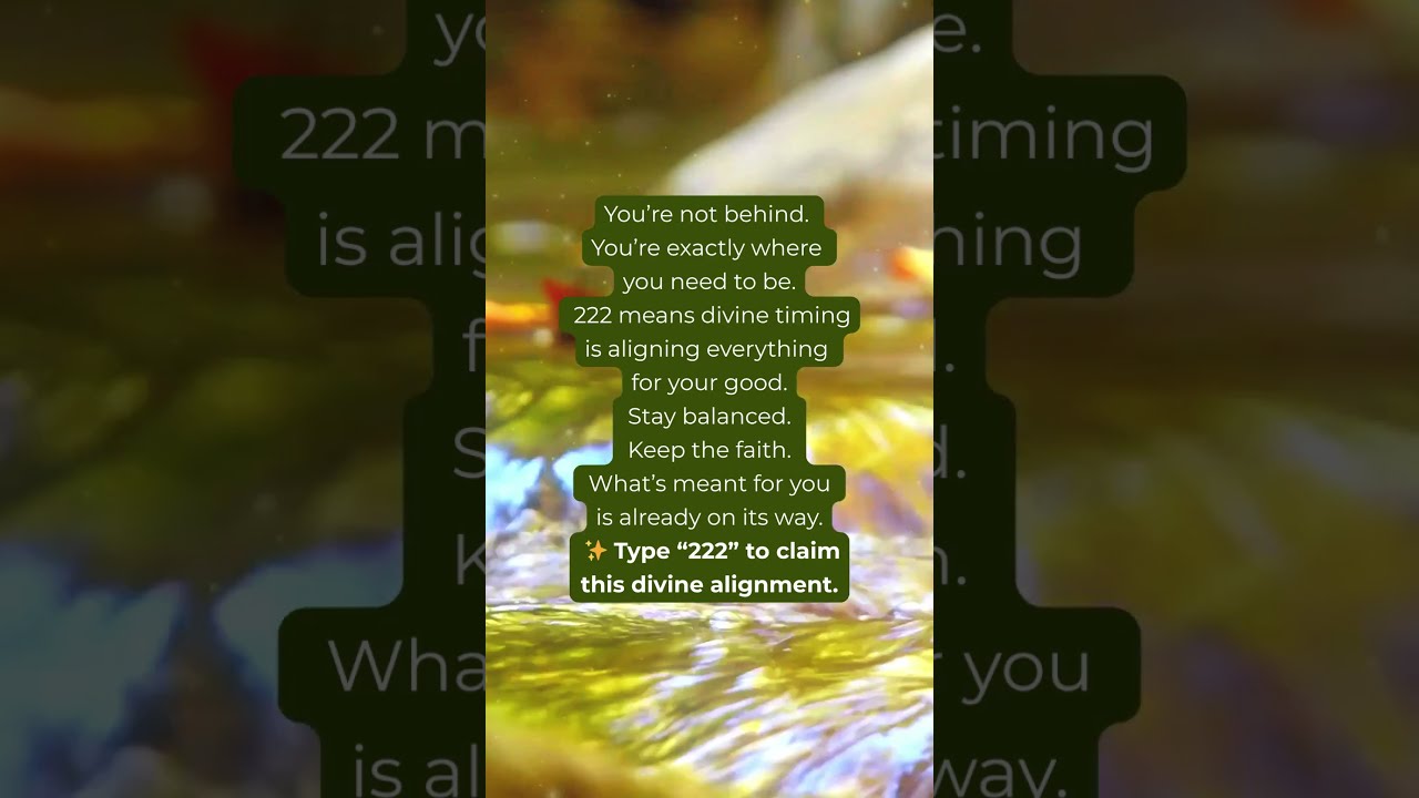 Seeing 222 It S Not A Coincidence Angel Number Message