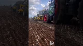 Seed Drill MATADOR MO in Action || Seeding,Cultivation &amp; Fertilize in One Pass || #seeder #shorts