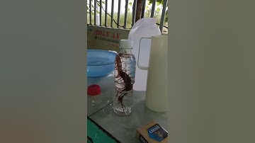 Rết ngâm rượu ( ngày 5\8\2020)