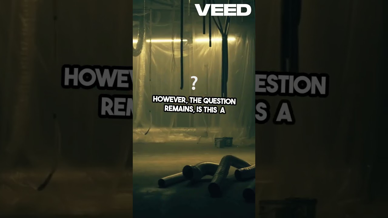 Box Office Revival  2024 Summer Blockbusters!