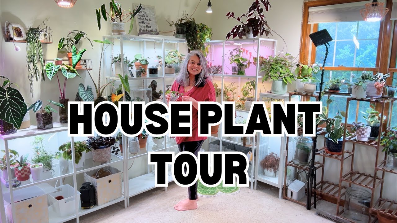 House Plant Tour & Makeover Transformation (Summer 2025)