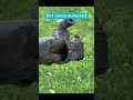 Что то с ним не так )#GreenDab #газон #озеленение #автополив #полив
