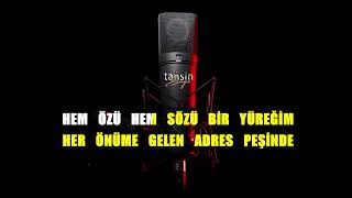 Serdar Ortaç - Aşk Böceği / Karaoke / Md Altyapı / Cover / / Hq