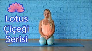 Lotus Çiçeği Serisi