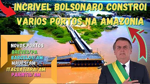 O que o governo tem feito pela Amazônia?
