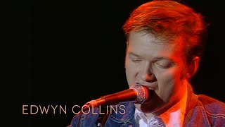 Watch Edwyn Collins North Of Heaven video