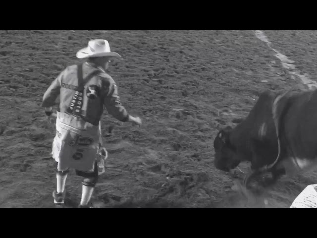 Cody Webster stomped by bull at Cheyenne Frontier Days!  #codywebsterbullfighting 