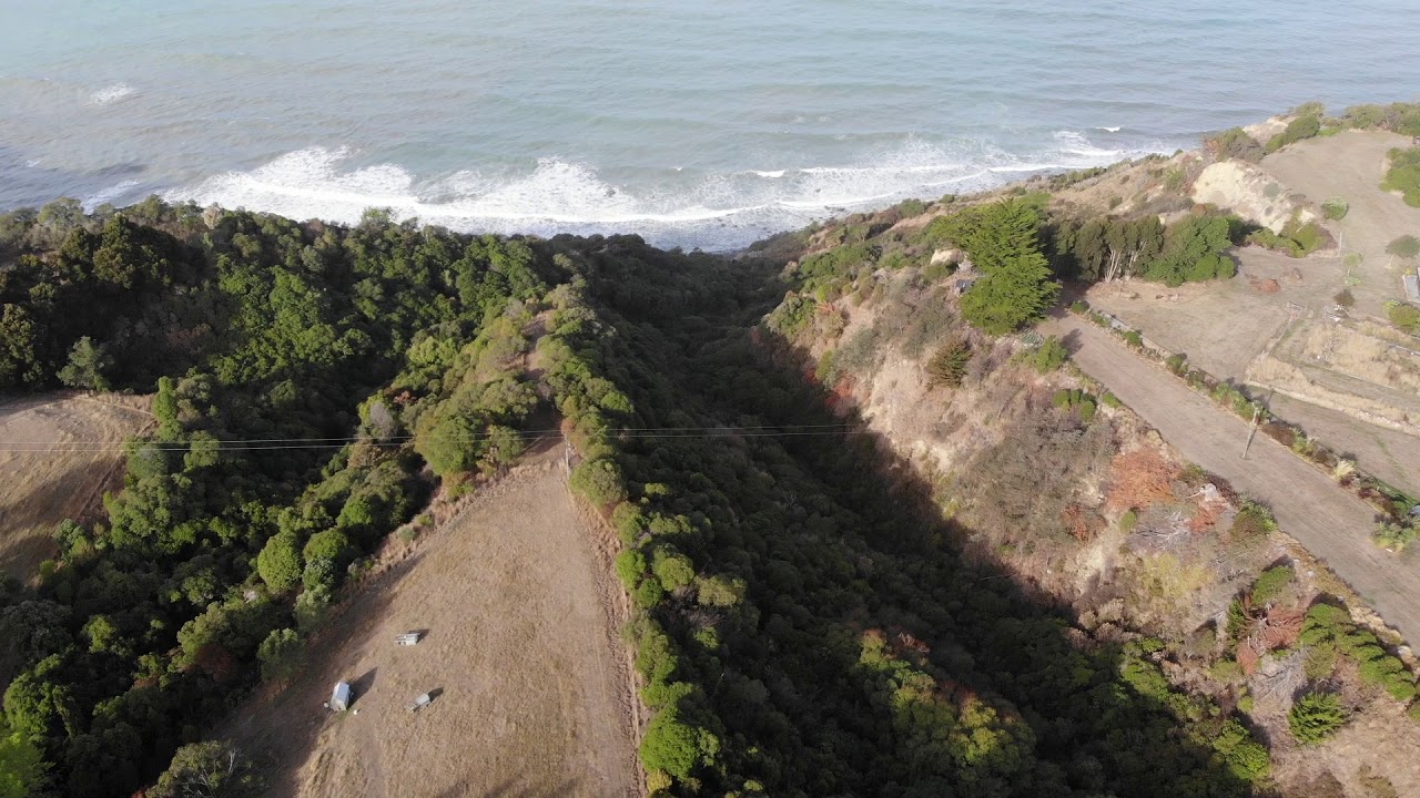 Hedge Removal Port Robinson YouTube