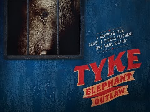 Tyke Elephant Outlaw - Official Trailer