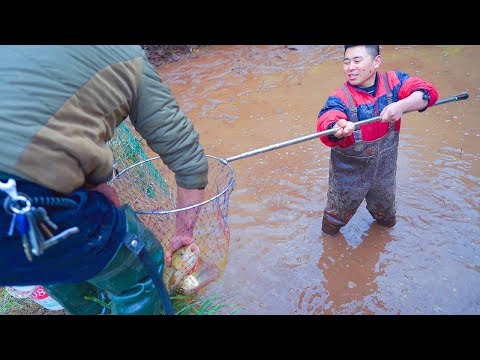 Video: Pai Dengan Ikan Dan Sauerkraut