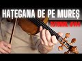 TUTORIAL VIOARĂ #144 🎻 HAȚEGANA DE PE MUREȘ by Alexandru Țitruș (rezumat)