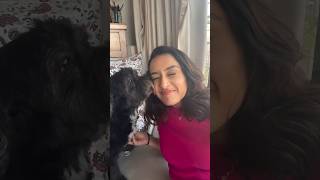 Dog Love With Her Companion Shares Kisses With