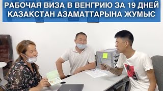 Виза в Венгрию - Работа в Венгрии