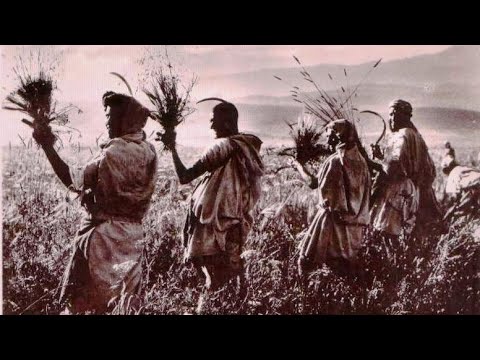 يسألونك عن مفهوم التويزة