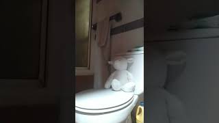 Peluches moviendose captados en camara😰 XD👽 #peluche #auronplay #gemita # vegeta777 #poyuelito #gato