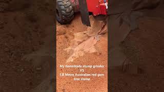 Homemade stump grinder for my dingo VS a 1.8 meter Australian red gum