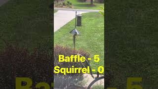 How to keep squirrels off bird feeders | Squirrel Proof bird feeders | Squirrel Baffle