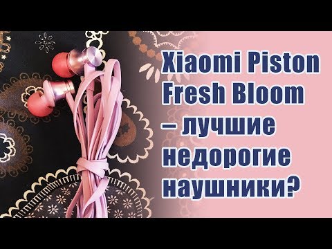 Xiaomi Piston Fresh Bloom – лучшие недорогие наушники? Xiaomi Piston Fresh Bloom – лучшие недорогие наушники?