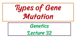 Types of Gene Mutation / Genetics / Lecture 32