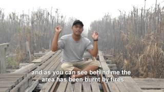 Borneo is burning!