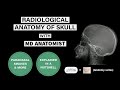 Radiological Anatomy-Skull and Paranasal Sinuses| SIMPLIFIED!