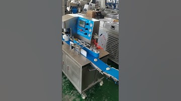 Testing video for automatic P160 cookies biscuit maker machine #papamachine