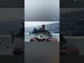 Monster Giant Trevally #fishing: Catch and Release ✨😍