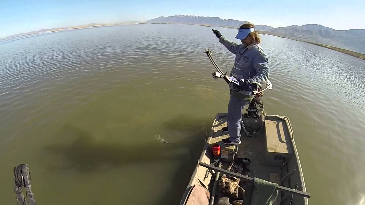 2014 Swamp monster Bowfishing.