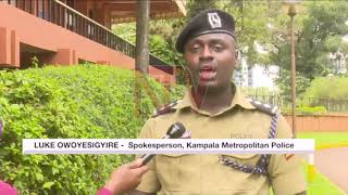 Large marijuana plantation discovered in Kakiri