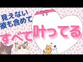 見えない彼も含めて「すべて、叶ってる」【潜在意識/恋愛/復縁/片思い/引き寄せの法則】