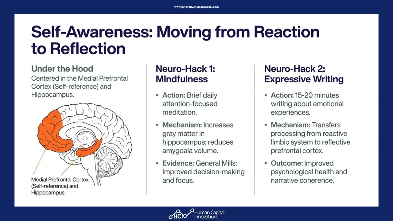 Нейробиологические лайфхаки