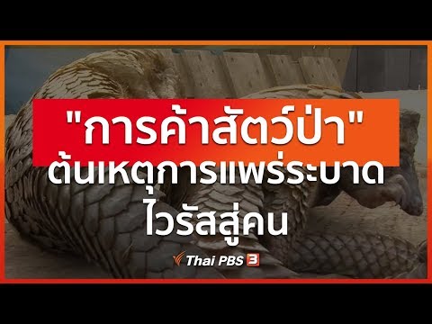 วีดีโอ: กระบวนการแพร่ในพฤติกรรมผู้บริโภคคืออะไร?