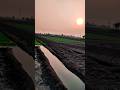 part 4 mini vlog #farming #enjoy #fun
