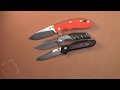 Apurvis Blades Primordial First Impressions