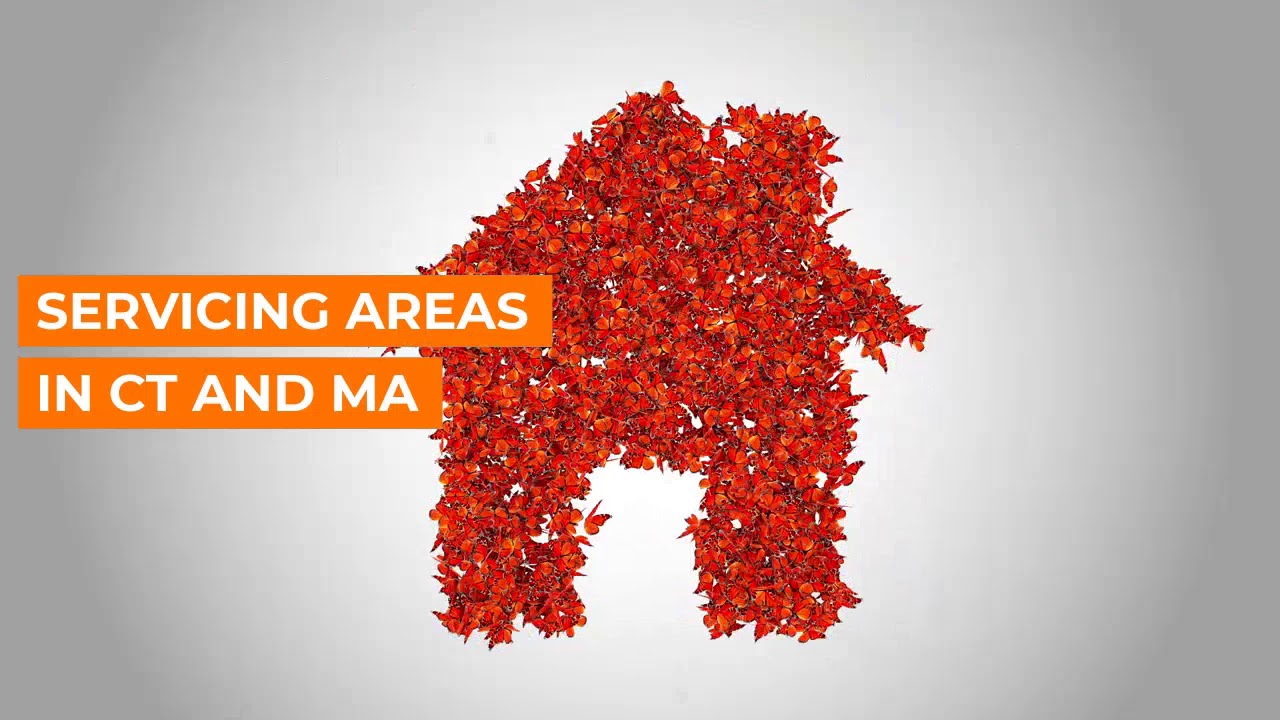 Trend 2000 Real Estate Video YouTube