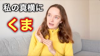 Download Lagu 【衝撃】至近距離でクマに遭遇してしまった MP3 Download Lagu 【衝撃】至近距離でクマに遭遇してしまった MP3