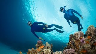 Celebrity Could Breath-Hold Diving after Scuba Cause Decompression Sickness? Net Worth