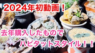 First video of 2024] Habitat style with last year's purchases