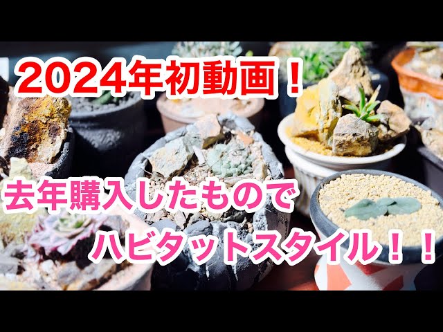First video of 2024] Habitat style with last year's purchases