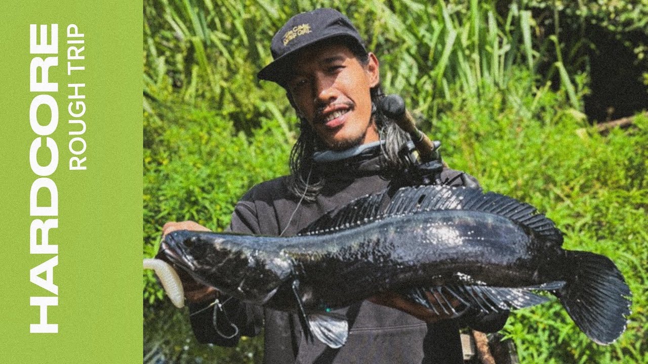 SPOT TOMAN YANG SANGAT EPIC