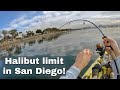 California Dreamin: Limiting Out On Halibut In Southern California!