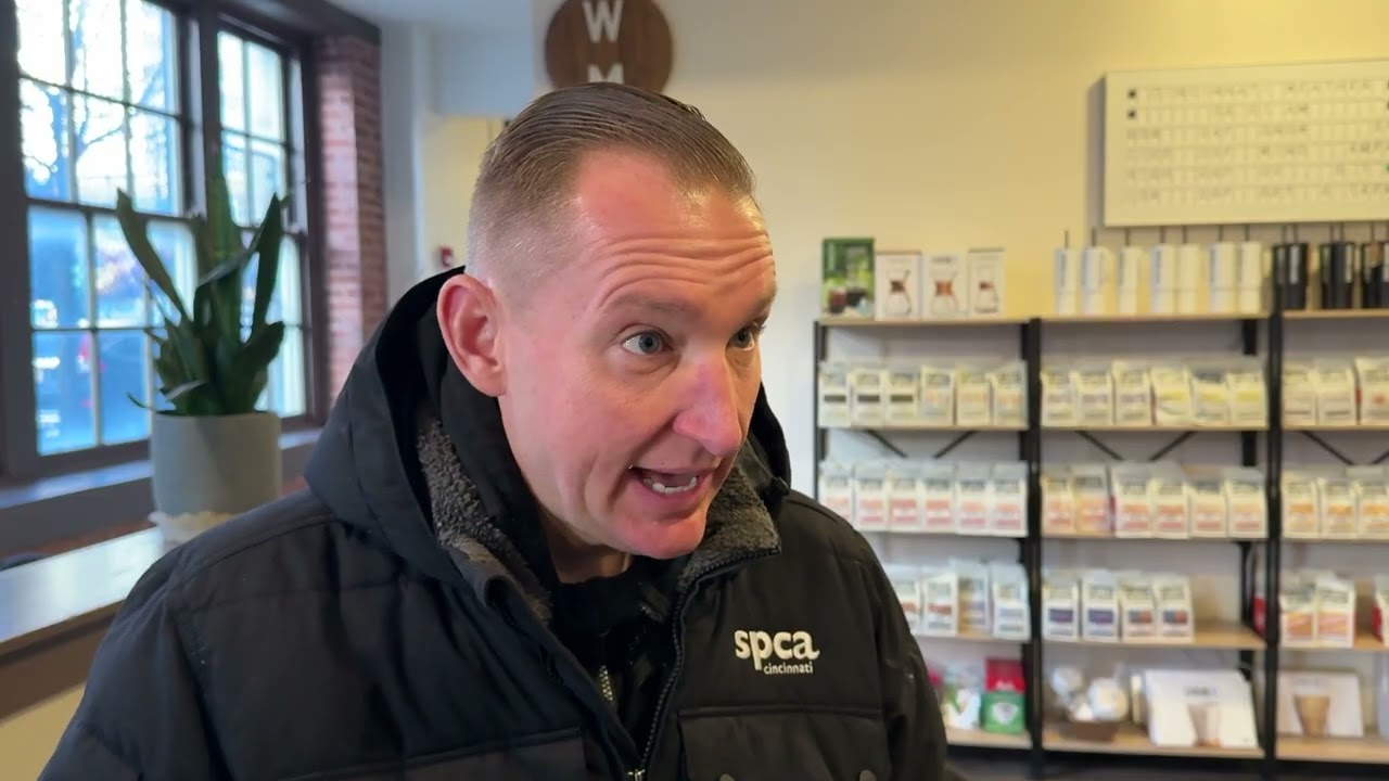 Four dogs who faced abuse in Florida are now being rehabilitated in Cincinnati