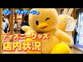 ボンヴォヤージュ店内とグッズ販売状況 (ディズニーランド37周年・ドナルド誕生日・イースター・ベリミニ・うさピヨ)