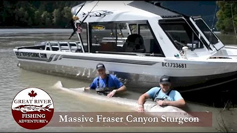 Great River Fishing: Tourist Catches a White Sturgeon on the Fraser River