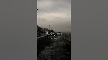 لا تقنطوا من رحمة الله🌱. سعود الشريم #قرآن_كريم #قران #اجر_لي_ولكم #سورة_الزمر